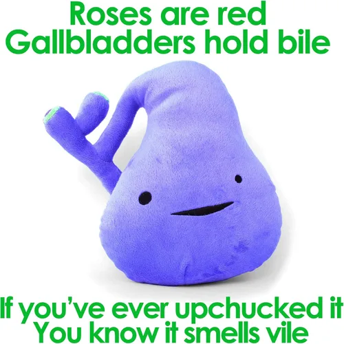 Vista 7 de Vesícula gigante de peluche – You've Got Gall – I Heart Guts