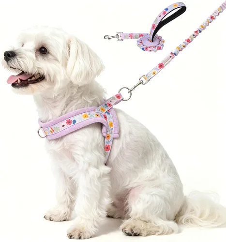 Vista 9 de BEAUTYZOO Arnés para Perros Pequeños, Juego de Arnés y Correa sin Tirones, Arnés de Pecho para Cachorros a Prueba de Escapes con Mango, Arnés Beige