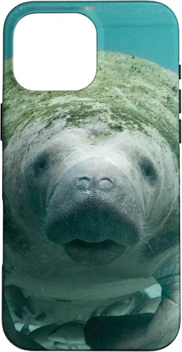 Vista 19 de Manatee Case for iPhone 17