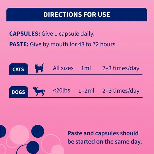 Vista 6 de Nutramax Probióticos proviables para perros y gatos pequeños, kit de apoyo para la diarrea, suplemento de salud digestiva con múltiples cepas