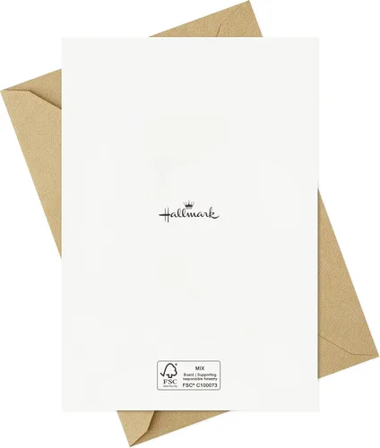 Vista 9 de Hallmark Surtido de tarjetas de Acción de Gracias a granel (72 tarjetas con sobres) rayas, hojas, cuadros