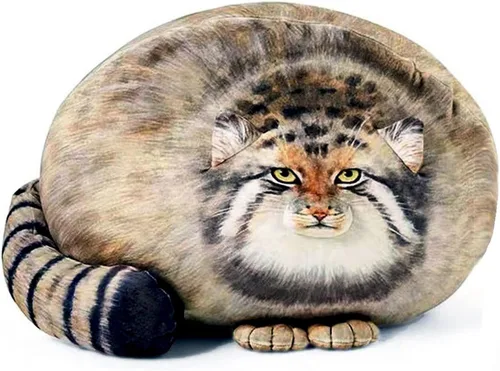 Vista 6 de ETAOLINE - Almohada acolchada y rellena de algodón con bonita forma de foca gordita de peluche (tamaño S)