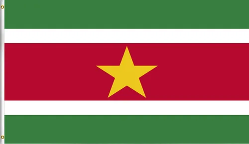 Vista 200 de DMSE - Bandera nacional beninesa beninesa de la República de África Occidental, 2 x 3 pies, 100 % poliéster, 100 % poliéster, resistente a los rayos