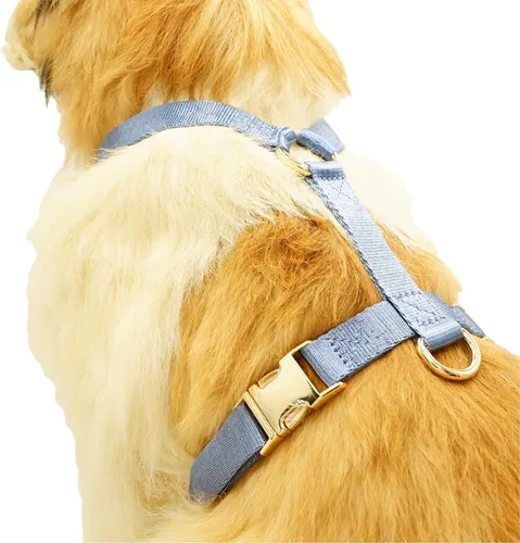 Vista 6 de Arnés de nailon para perro sin tirones con hebillas de metal doradas, arnés para perro fácil de caminar y entrenar (azul aire, XS)