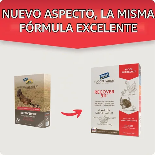 Vista 3 de FlockLeader Recover 911, Suplemento de Agua Probiótico para Estrés Severo para Pollos con Electrolitos, Prebióticos y Orégano, para la Muda, Clima