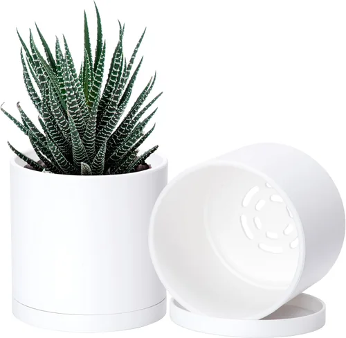 Vista 22 de D'vine Dev - Paquete de 2 macetas de plástico modernas de 4 pulgadas, pequeñas macetas de jardín para plantas con orificios de drenaje y platillos