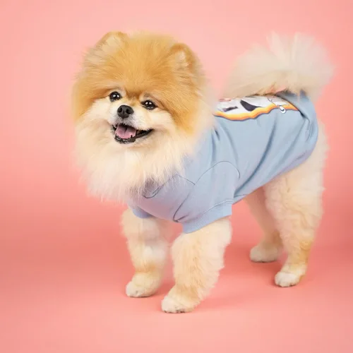 Vista 3 de Doggy Parton XS