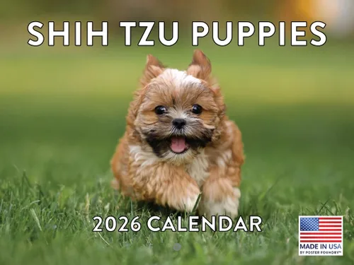 Vista 161 de Calendario mensual de pared Airedale Terrier Dog 2027 rojo (Airedale Terrier)