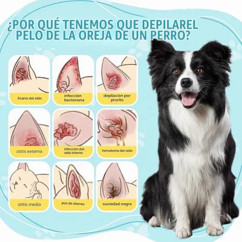 Vista 3 de Polvo para orejas de perro para depilación y depilación, 1.76 oz