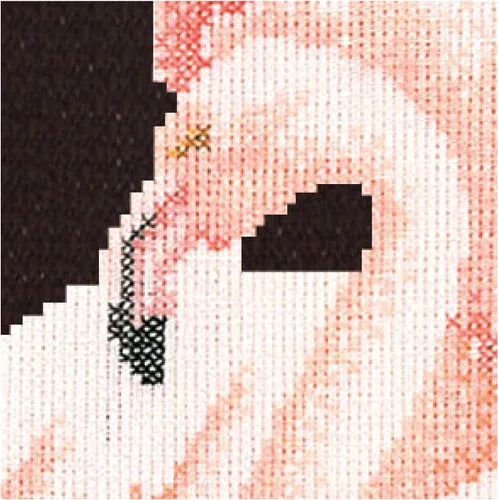 Vista 2 de Thea Gouverneur - Kit de punto de cruz, flamenco, negro Aida, 18 unidades, kit de bordado para adultos, hilos de bordado DMC y otros suministros