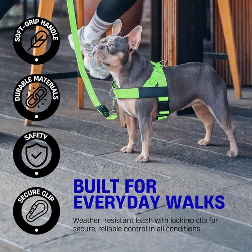 Vista 5 de Dog Friendly Co. Correa clásica para perro Sin tensiones, resistente a los golpes, evita sacudidas, mantiene el control Material impermeable