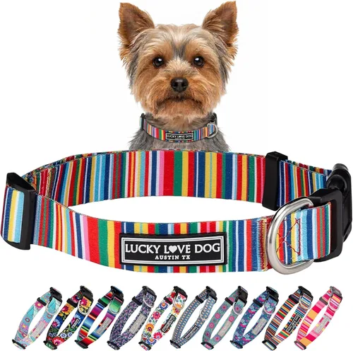 Vista 52 de Lucky Love Dog - Collar de perro ajustable con hebilla de fácil clic para los pequeños, duradero y cómodo para perros machos y hembras, collar
