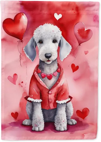 Vista 144 de Caroline's Treasures DAC5252GF Affenpinscher - Bandera de jardín con texto en inglés "My Valentine", bandera decorativa para patio exterior, patio