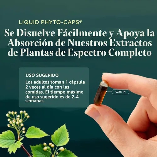 Vista 6 de Gaia Herbs Aceite de orégano - Suplemento de apoyo inmunológico y antioxidante para ayudar a mantener el bienestar general - con aceite de orégano