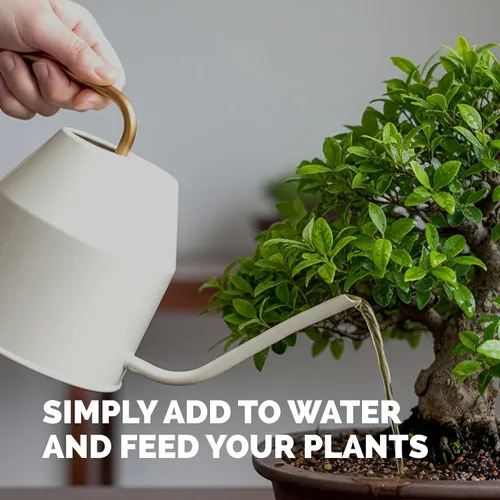 Vista 5 de Fertilizante para Bonsái, alimento líquido para plantas para un crecimiento saludable y raíces fuertes en todos los árboles de bonsái, de TPS Plant