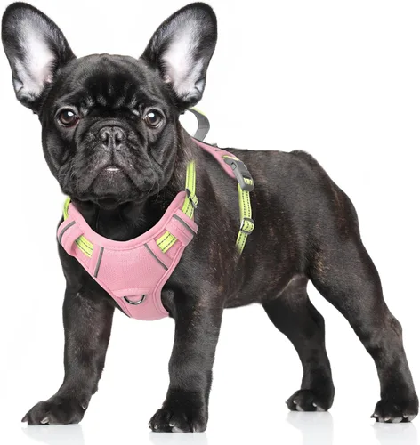 Vista 84 de BARKBAY Arnés para Perro Sin Tirones Talla Grande Arnés Reflectante para Perro con Clip Frontal y Asa de Control Fácil para Caminar Entrenar Correr