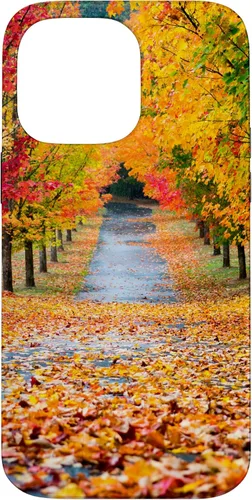 Vista 20 de iPhone 11 Otoño Hojas - Hermoso estuche de arboles