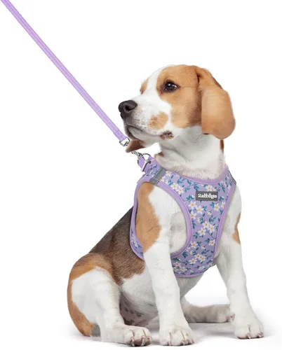 Vista 165 de rabbitgoo Arnés para perro de tamaño pequeño y juego de correa, chaleco Cachorros de manzana