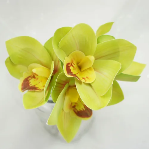 Vista 4 de Paquete de orquídea Cymbidium artificial de 4 tallos de tacto real (verde)