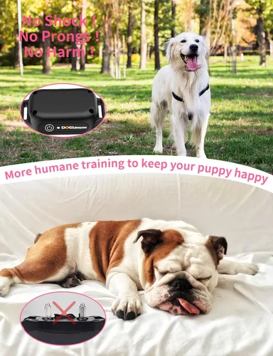 Vista 2 de Collar de entrenamiento para perros sin choque, collar vibratorio para perros pequeños, medianos y grandes, sin golpes, sin puntas