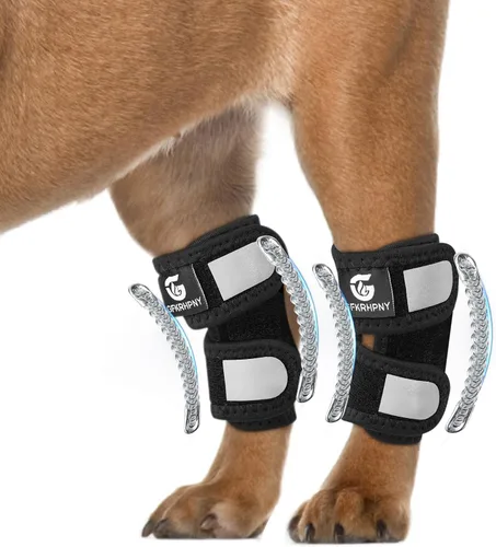 Vista 8 de Tobillera corta de pierna trasera para perro, 1 par
