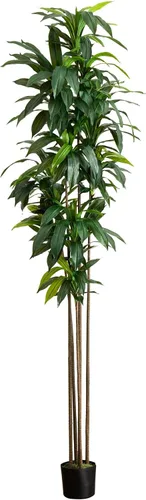 Vista 8 de Nearly Natural Planta de seda Dracaena de 6 pies (tacto real)