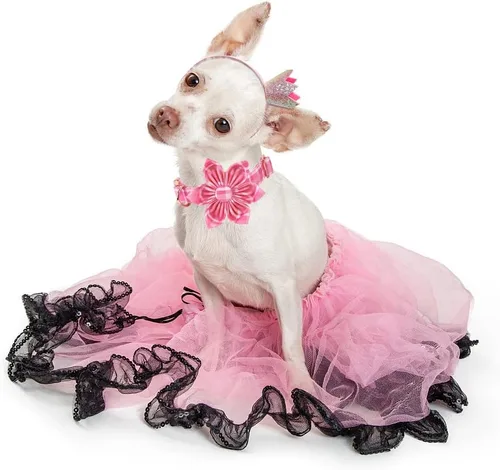 Vista 7 de Collar de perro Lionheart Glory, collar de perro rosa con flor, lindo collar para mascotas con patrón floral ajustable para perros pequeños Rosado