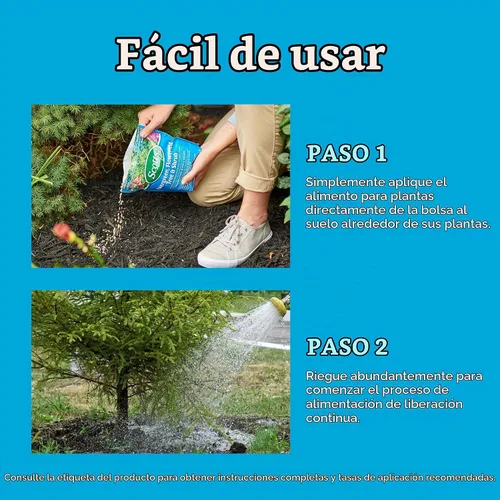 Vista 8 de Scotts Árbol de hoja perenne, árbol y arbusto en flor Alimento vegetal