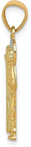 Vista 2 de ICE CARATS Collar con colgante de oro amarillo de 10 quilates, San Judas, Tadeo, San Judas, Patrono, San Tadeo, Medalla religiosa, joyería fina