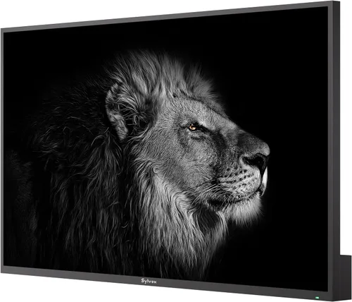 Vista 25 de SYLVOX - Televisión inteligente para exteriores 4K de 43 pulgadas