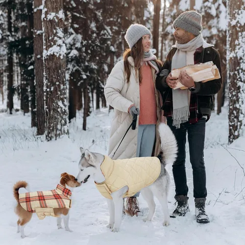 Vista 7 de Kuoser Abrigo impermeable para perro, chaqueta reversible cálida para perro beigeYrojo