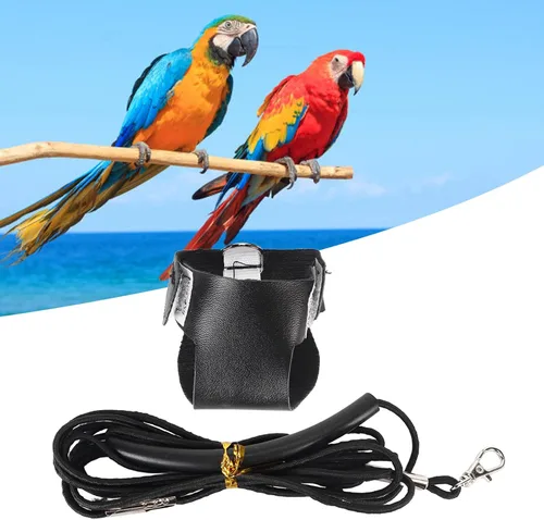 Vista 4 de Chaleco de arnés de vuelo de pájaro, traje de vuelo de loro transpirable con correa, ropa de vuelo de pájaro con cuerda, correa de nailon