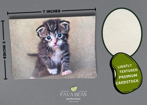 Vista 3 de Adorable tarjeta de felicitación de gatito gris (5 x 7 pulgadas) con sobre. En blanco con bonita imagen de gato en el interior. Perfecta