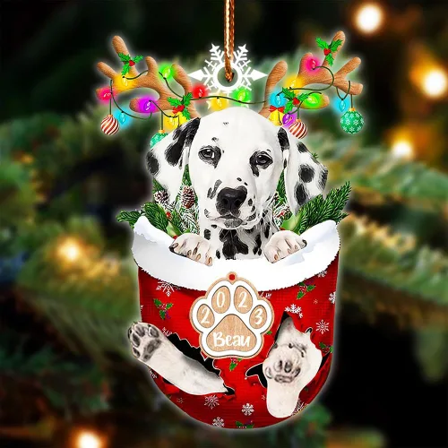 Vista 57 de NAZENTI Adorno Navideño de Bolsillo Personalizado de Affenpinscher en la Nieve, Adorno de Forma Acrílica de Perro, Adorno de Navidad 2023, Adorno