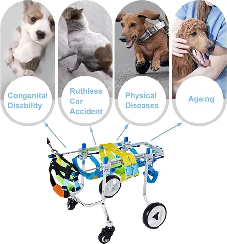 Vista 4 de Silla de ruedas para perros, carrito de apoyo completo para discapacitados, patas delanteras/traseras, ajustable para silla de ruedas para mascotas