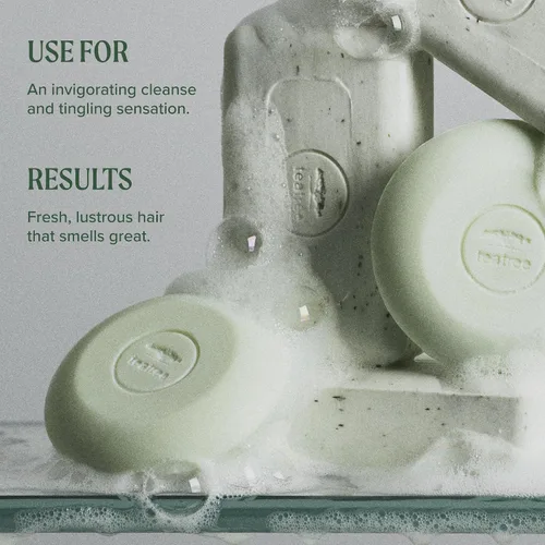 Vista 5 de Tea Tree Champú especial, limpieza profunda, refresca el cuero cabelludo, especialmente el cabello graso, para todo tipo de cabello