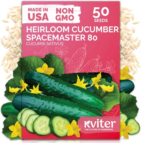 Vista 14 de KVITER 50 semillas de calabaza de azúcar orgánicas (Cucurbita Pepo) – Semilla de calabaza pequeña reliquia, carne dulce de grano fino para enlatar