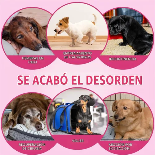 Vista 5 de Dono Pañales desechables para perras, pañales súper absorbentes para perros, con tecnología de gel de secado rápido, a prueba de fugas, ajuste