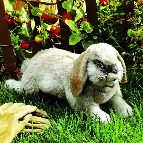 Vista 2 de Folkmanis Marioneta de mano de conejo Holland Lop