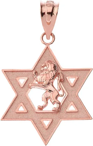 Vista 5 de Colgante hebreo certificado de oro de 14 k Israel León de Judá Magen David Star Hebreo