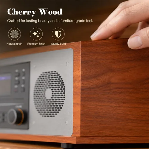 Vista 13 de Reproductor de discos multimedia 10 en 1 con altavoces, reproductor de CD, receptor Bluetooth, radio por Internet, grabación USB, tocadiscos de 3
