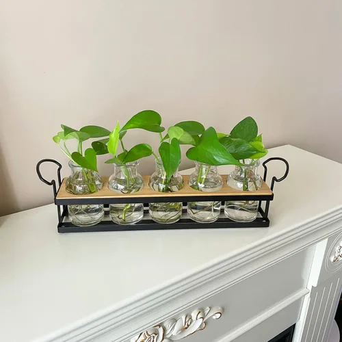 Vista 3 de THYGIFTREE Estaciones de propagación de plantas con soporte de metal, terrario de plantas de mesa para propagación hidropónica, maceta de vidrio