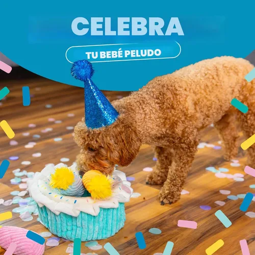 Vista 4 de Outward Hound Hide A Birthday Cake, rompecabezas de peluche con temática de cumpleaños para perros