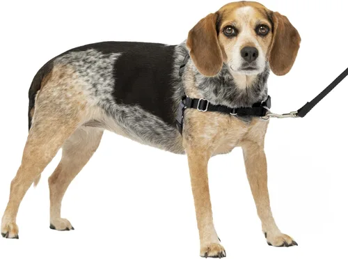 Vista 18 de PetSafe Easy Walk - Arnés para perro, sin tirones, gris carbón Carbón/Negro