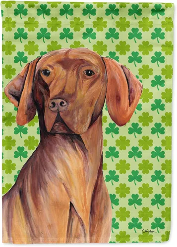 Vista 201 de Caroline's Treasures SS4442GF Affenpinscher Bandera de jardín con retrato de trébol del día de San Patricio para buzón, bandera decorativa