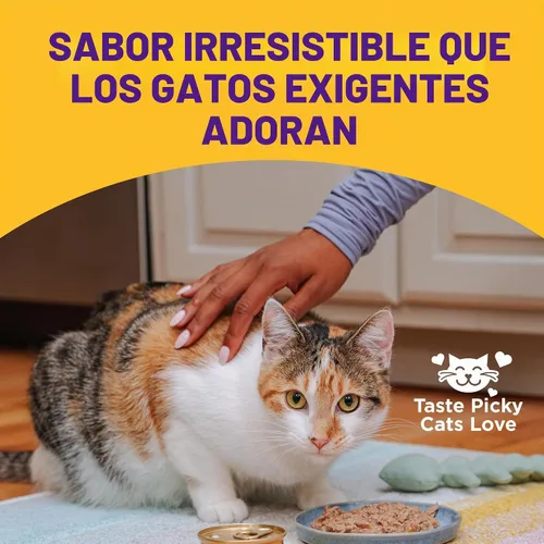 Vista 4 de Wellness Natural comida enlatada, para gatos, libre de granos, Anaranjado