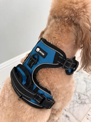 Vista 4 de ROOSK Arnés para perro Sin tirones, reflectante, ajustable en 4 direcciones con soporte para bolsa de excrementos, máxima comodidad, suave