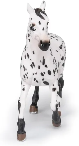 Vista 6 de Papo - Figura de caballo Appaloosa negra realista para niños - A partir de 3 años - Colección de caballos y ponis - Juego educativo para montar a