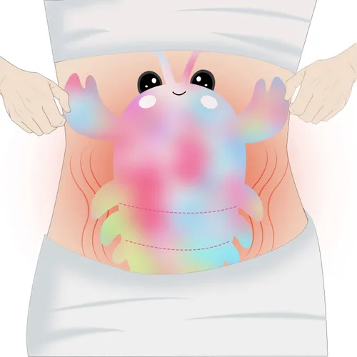 Vista 5 de Almohadilla térmica apta para microondas para calambres, almohada cálida y acogedora, lindo peluche de langosta con almohadilla térmica (multicolor)