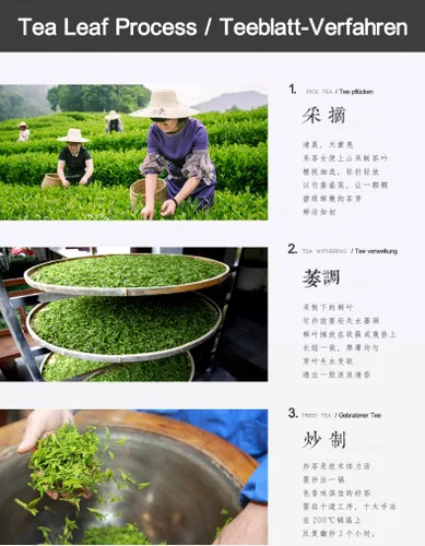 Vista 4 de Dragonwell Longjing Tea (Yu Qian), hoja de té verde fresca del pozo del dragón recogida antes del día de la lluvia del grano, venta directa